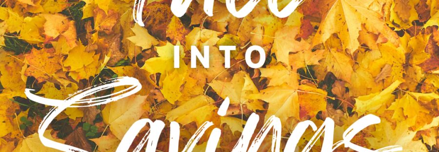 fall toys and fall activities