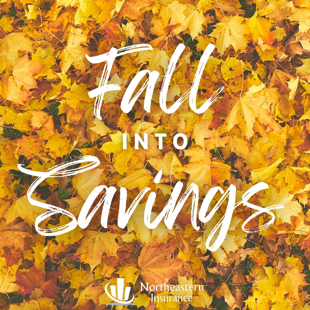 fall toys and fall activities