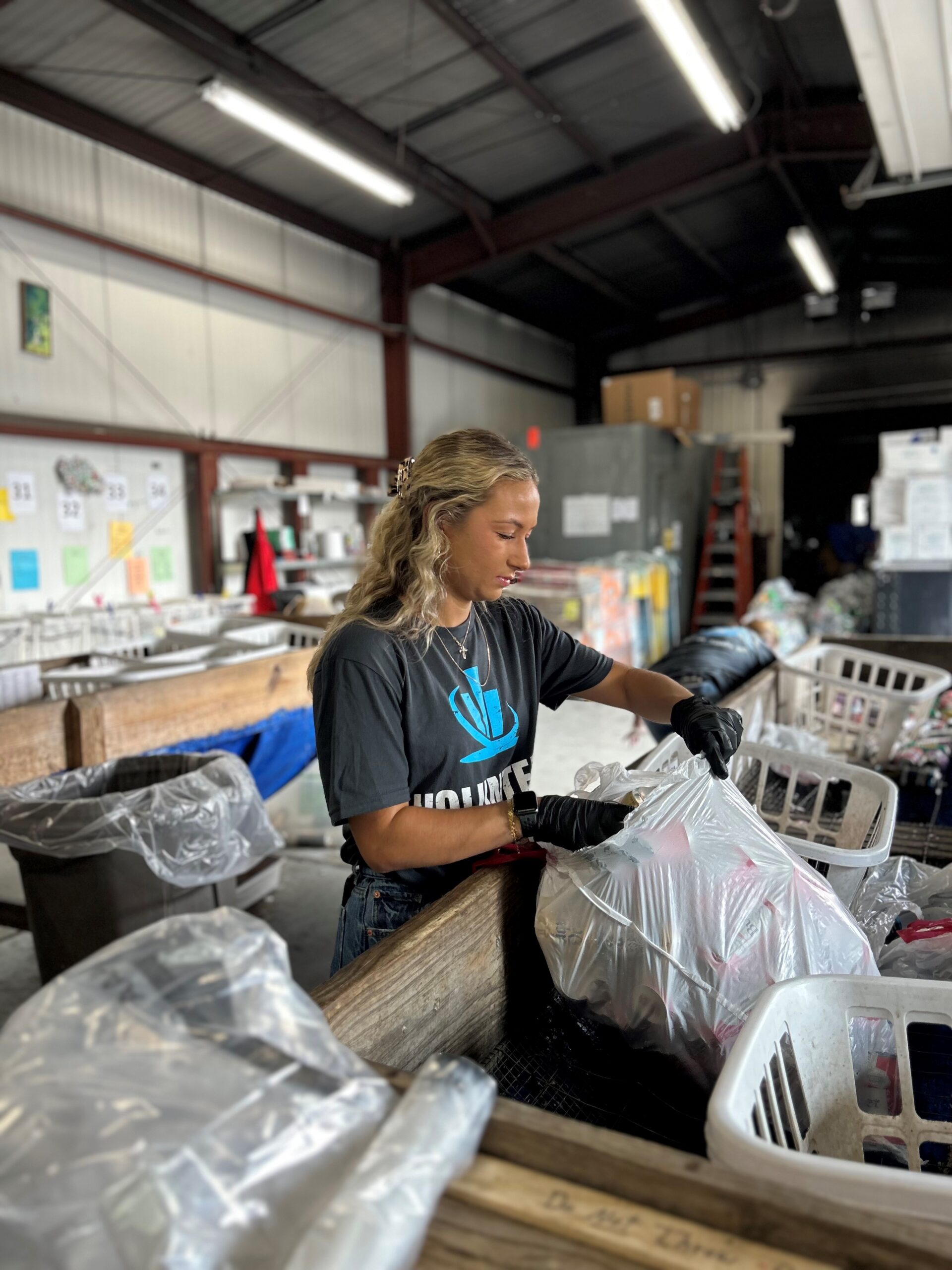 mackenzie harley northeastern insurance