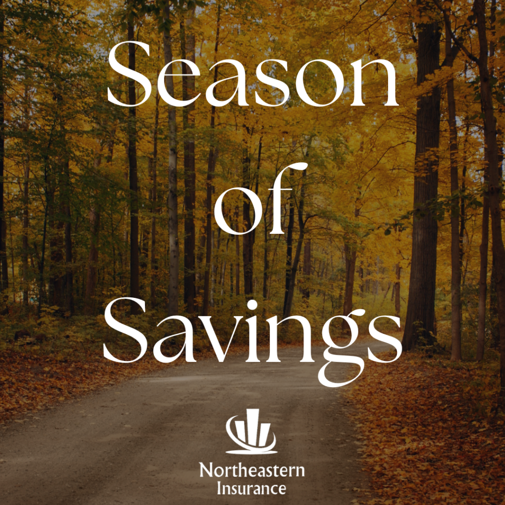 fall activities and seasonal toys insurance