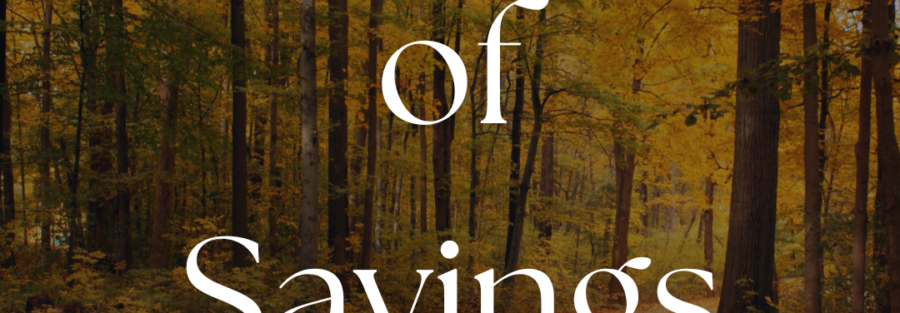 fall activities and seasonal toys insurance