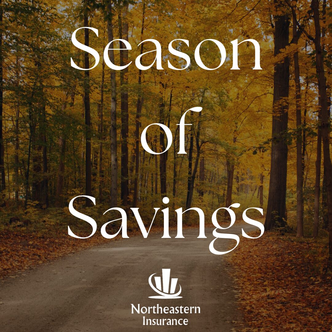 fall activities and seasonal toys insurance