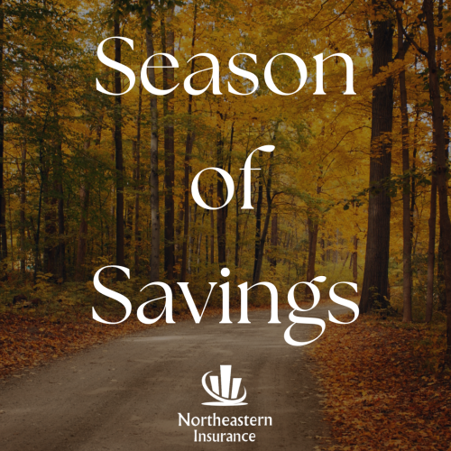 fun activities and seasonal toys insurance