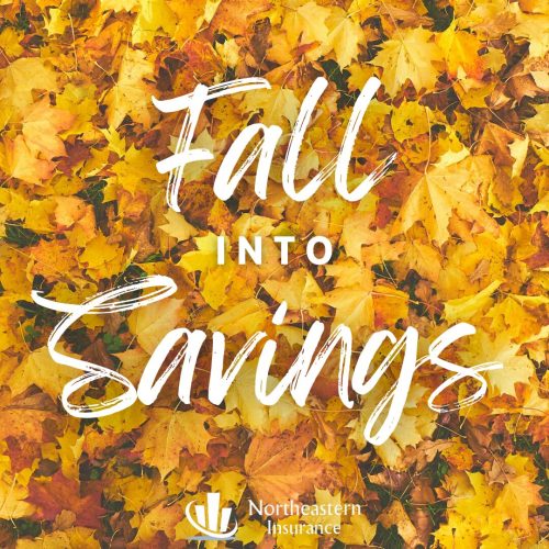 fall toys and fall activities
